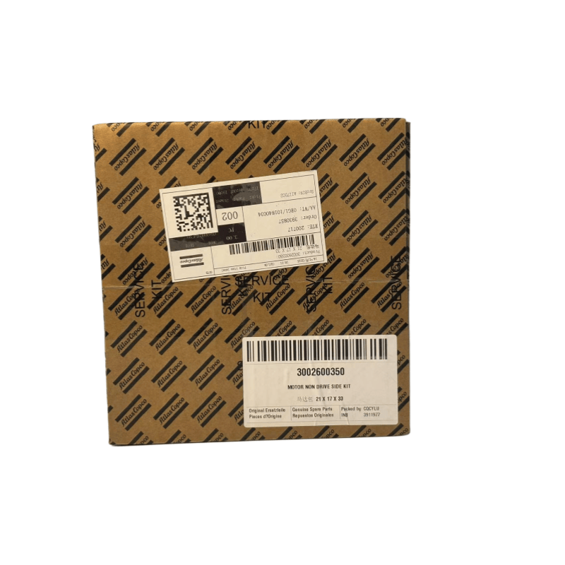 Originele 3002600350 Atlas Copco Motor Non Drive Side Kit voor olie -geïnjecteerde schroefcompressoren